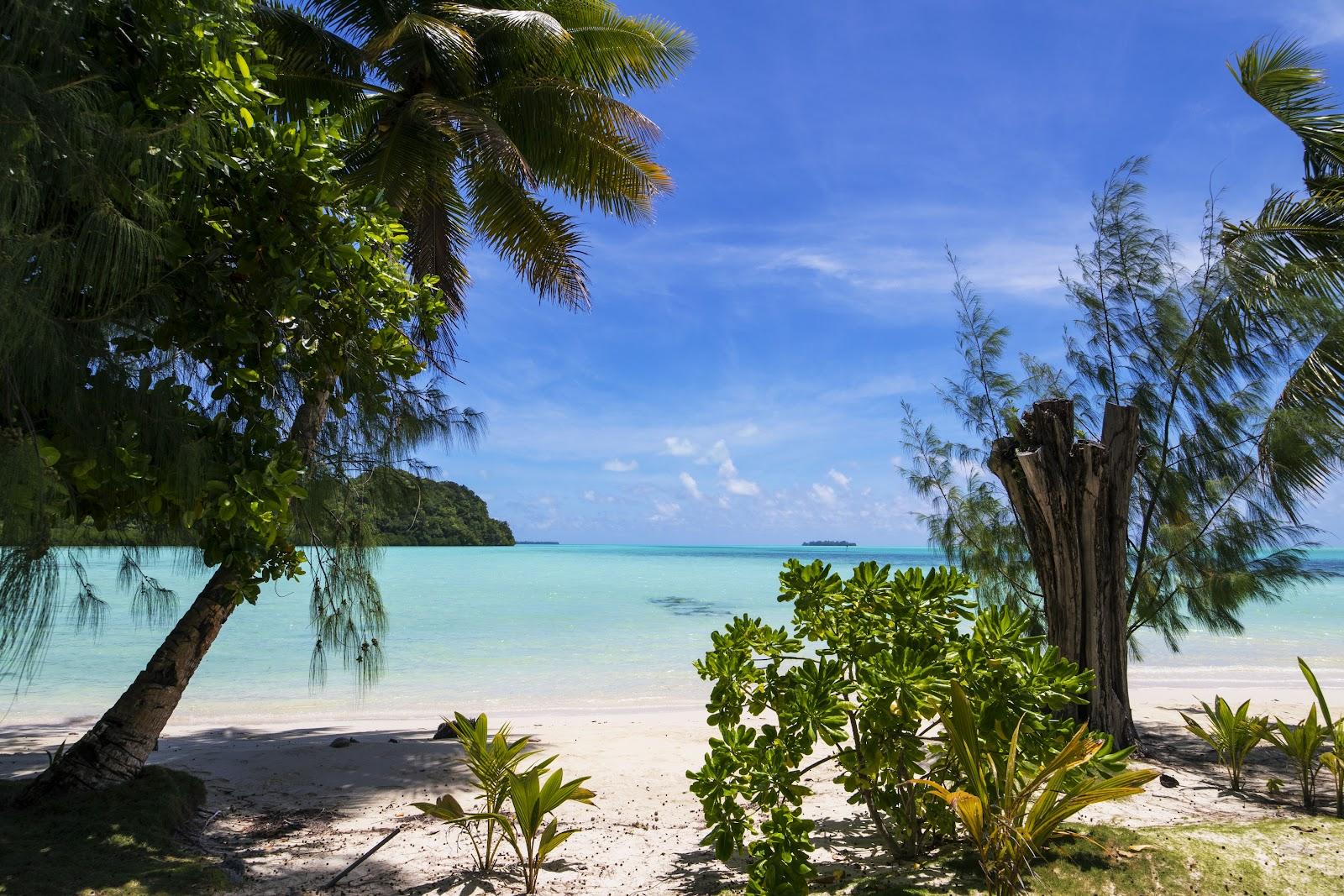 Sandee Carp Island Resort Beach