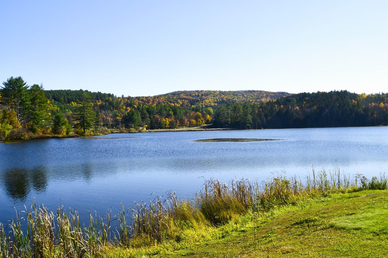Sandee Baker Pond