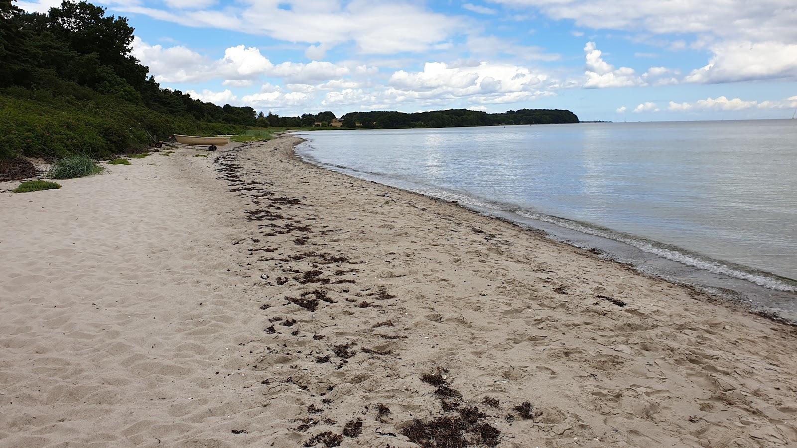 Sandee Elsehoved Strand