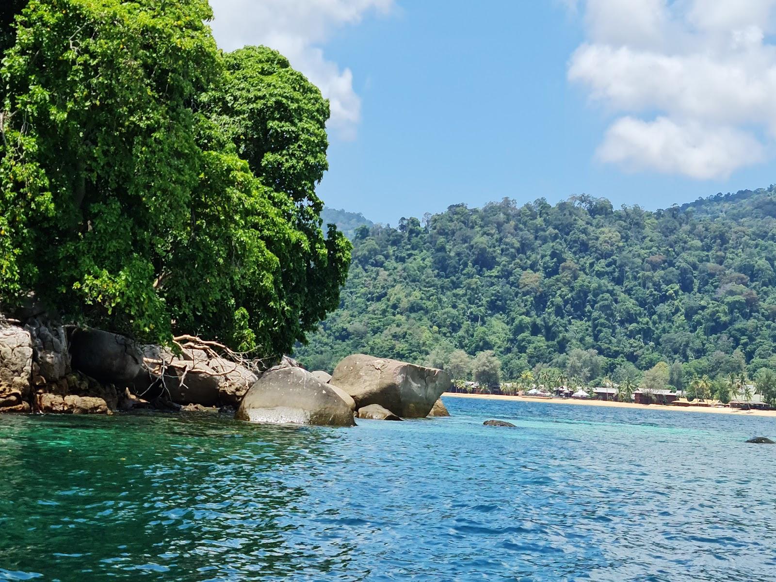 Sandee - HomePage / Tioman Island