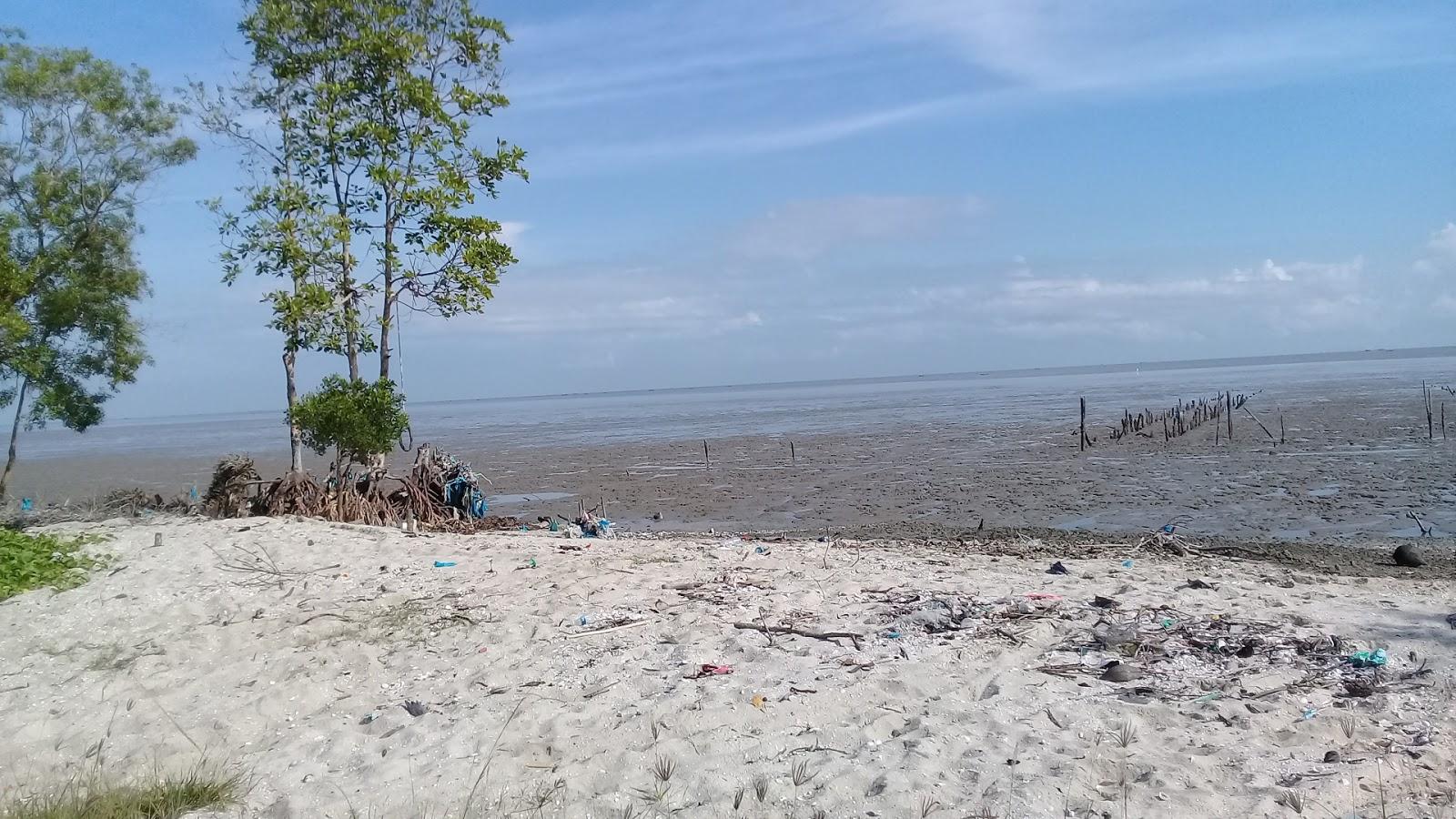 Sandee - HomePage / Tanjung Tiram