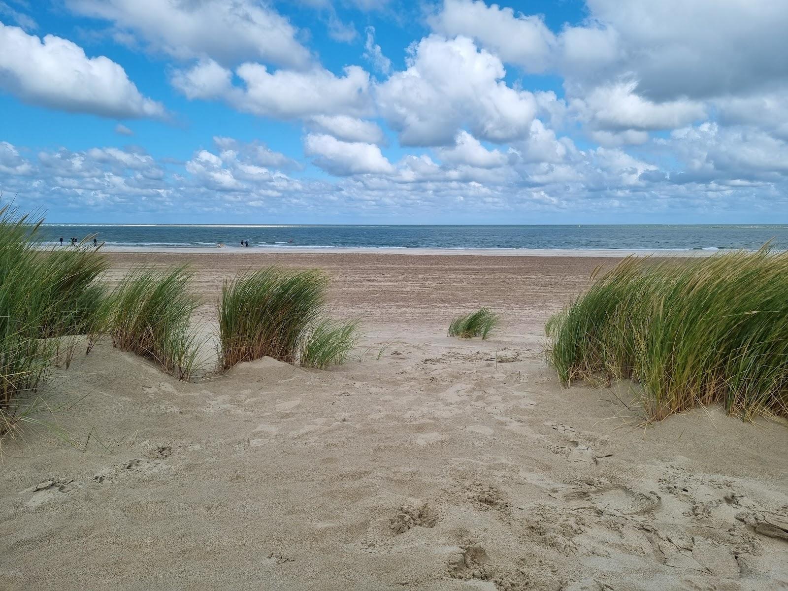 Sandee - HomePage / Zeeland