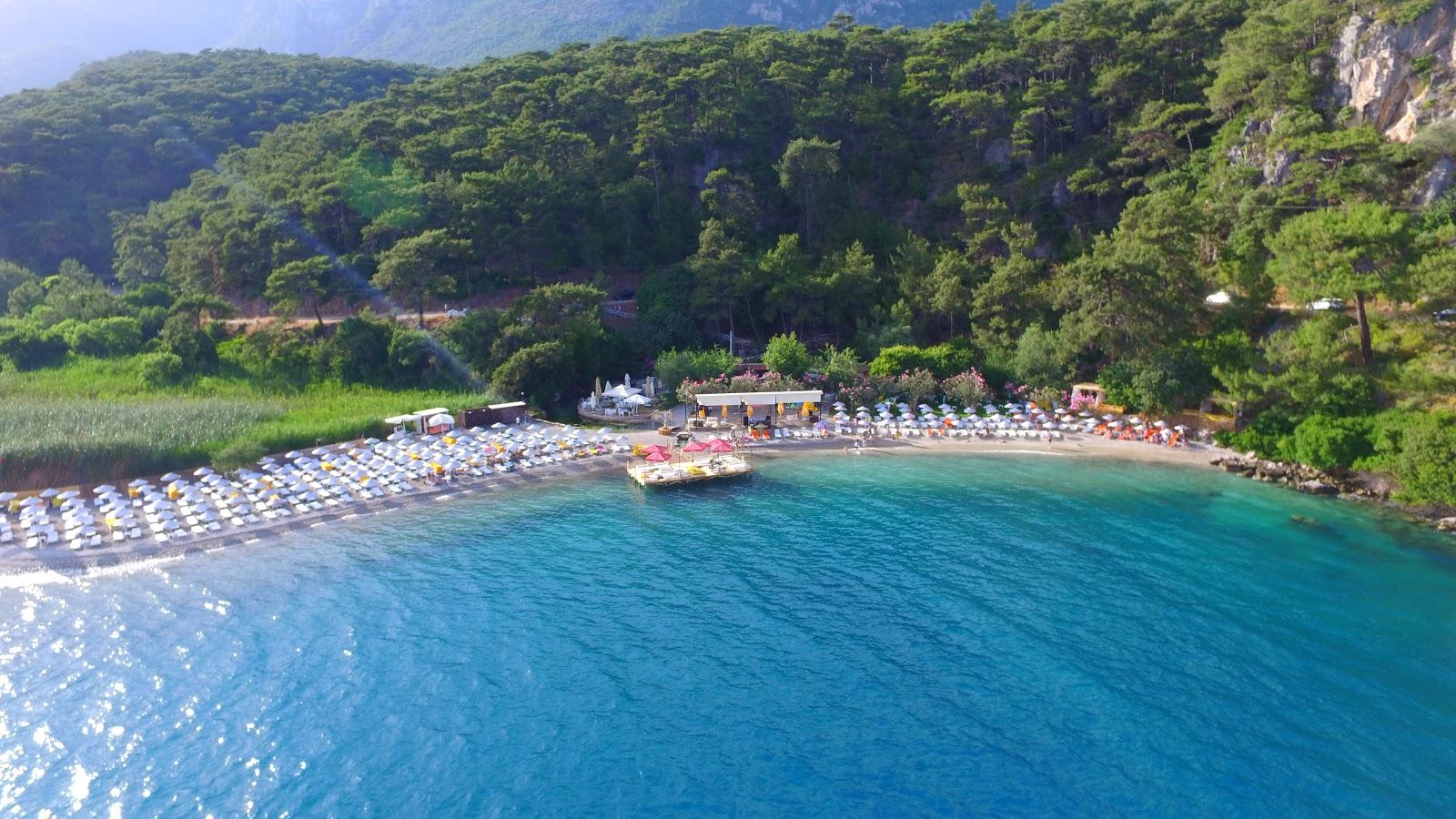 Sandee Cınar Koyu Plajı