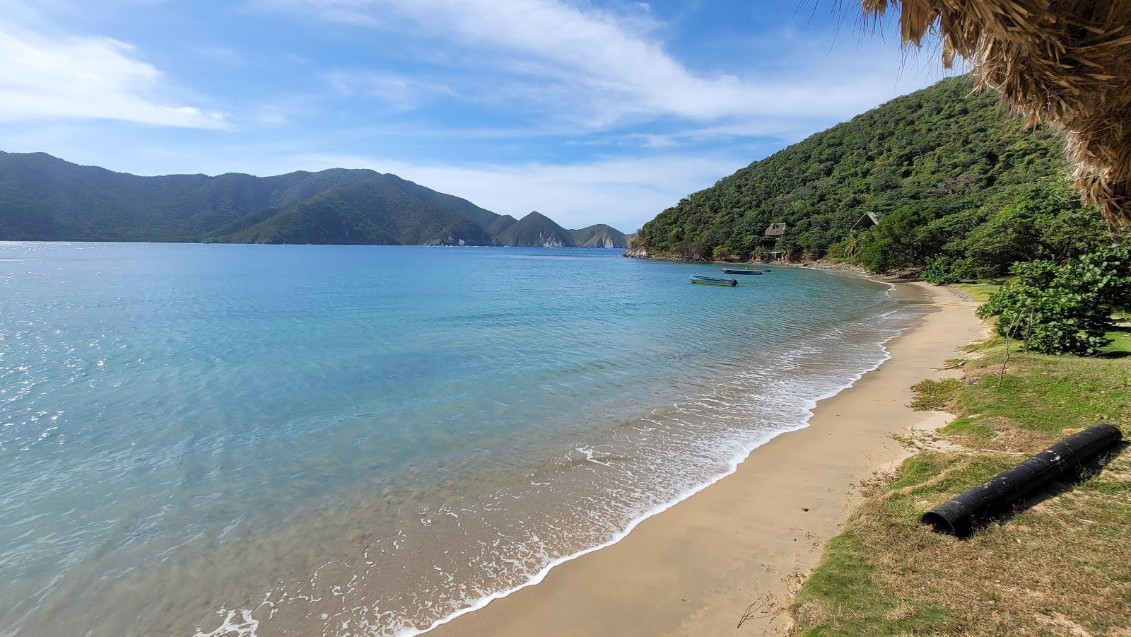Sandee Playa Cinto