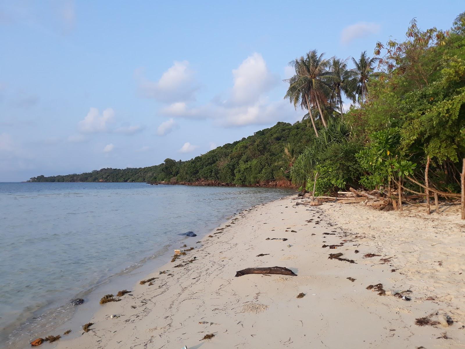 Sandee - HomePage / Teluk Betung adalah sebuah pekon yang berada di Kecamatan Teluk Betung, Kota Bandar Lampung, Lampung.