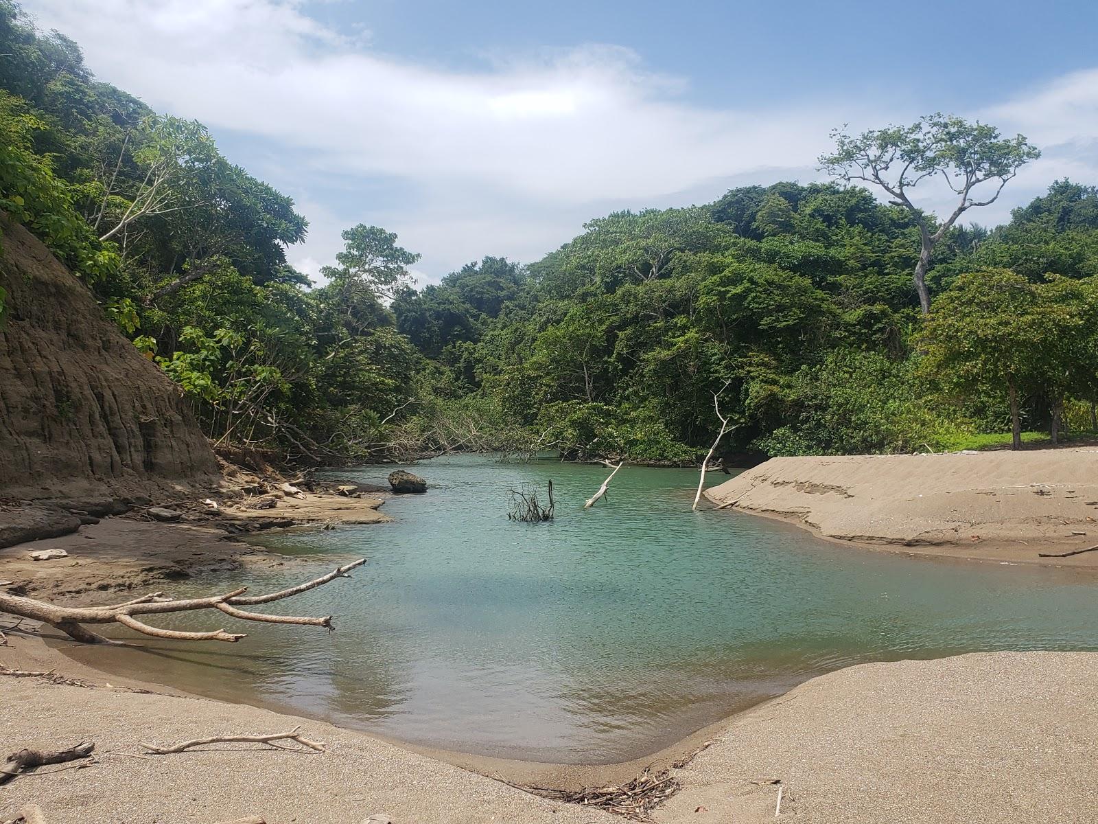 Sandee Playa Cocalito