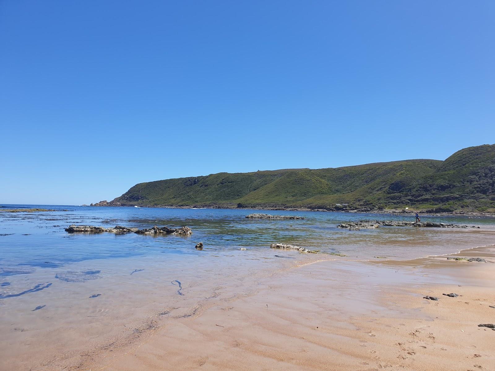 Sandee Trial Harbour Beach