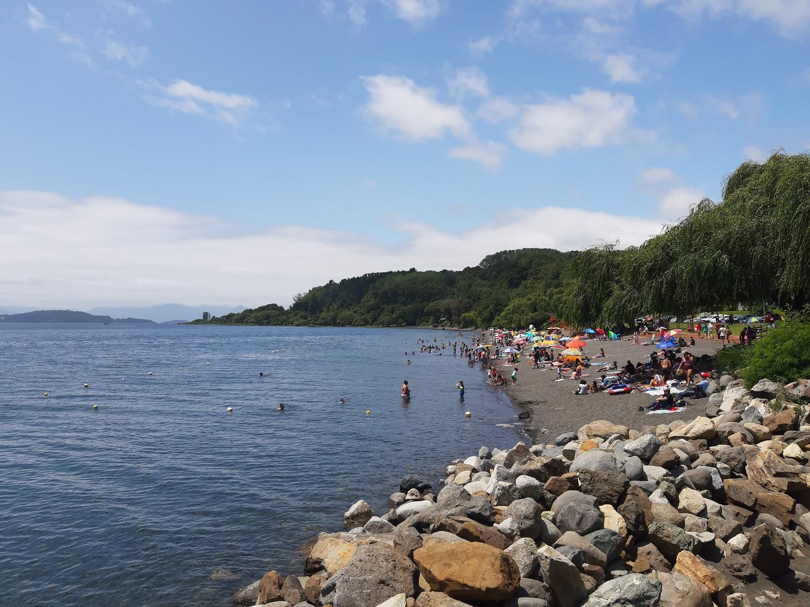 Sandee - HomePage / Lago Ranco