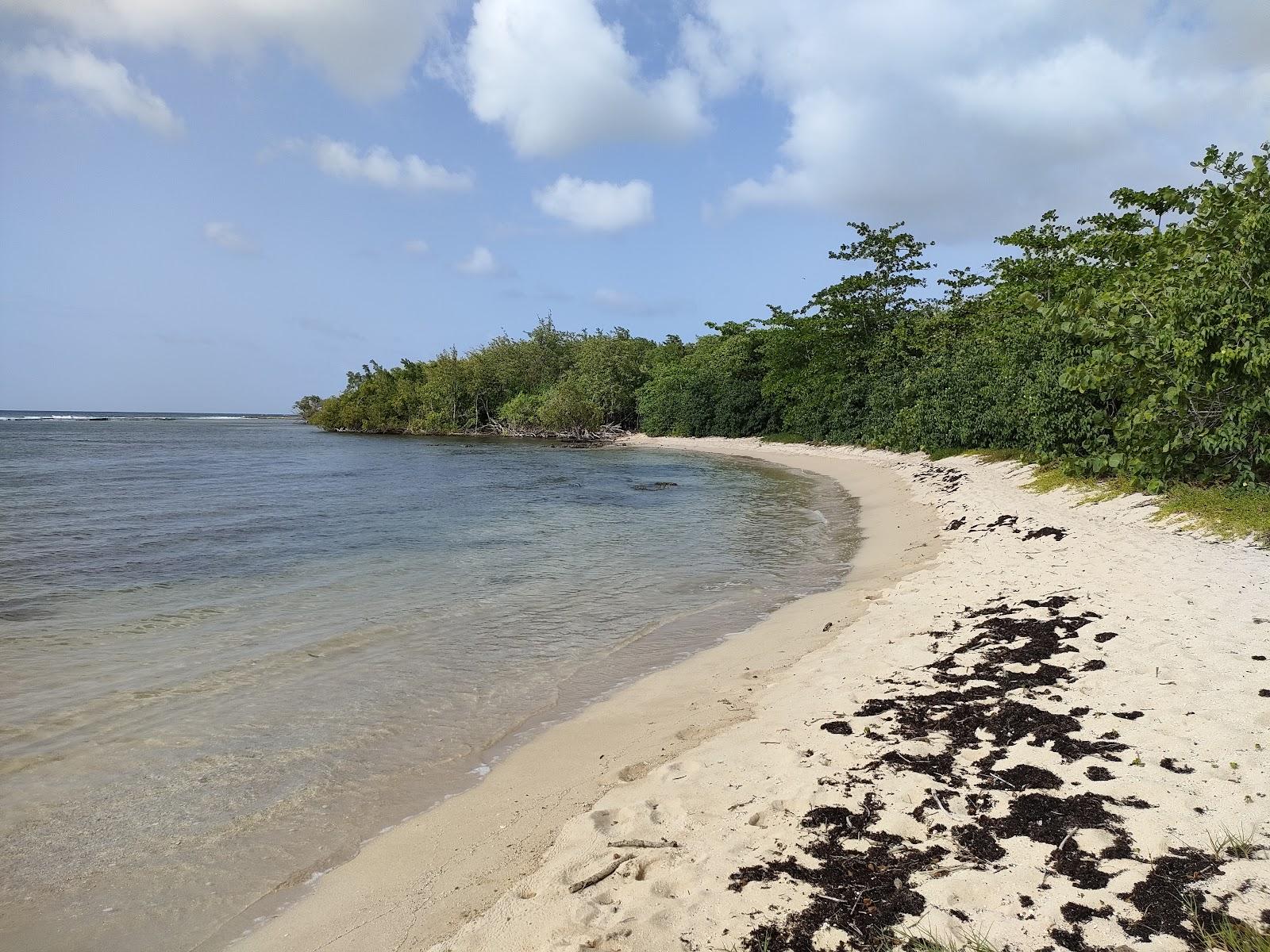 Sandee - HomePage / Anse Bertrand