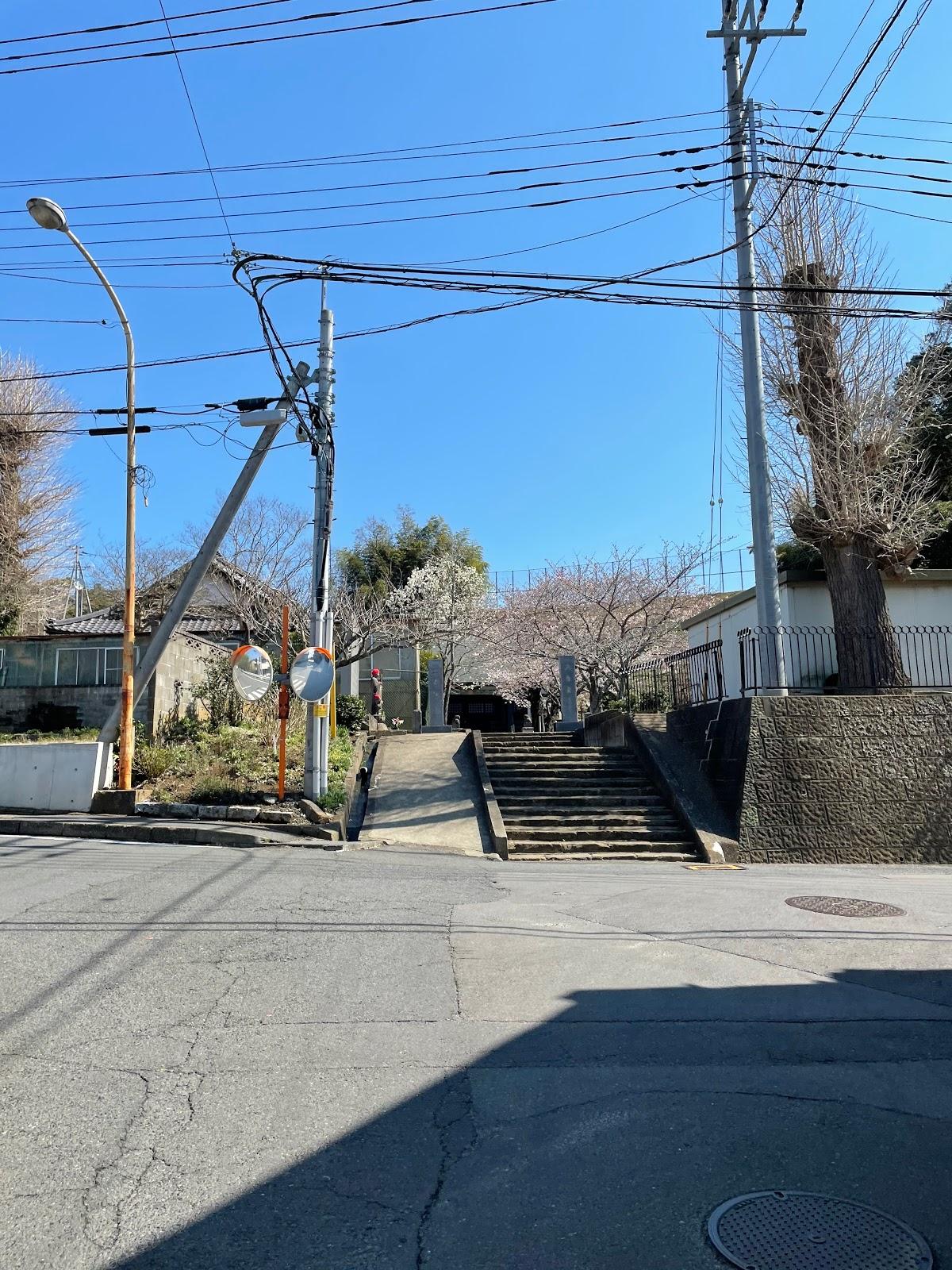 Sandee Kei Shochu Coast