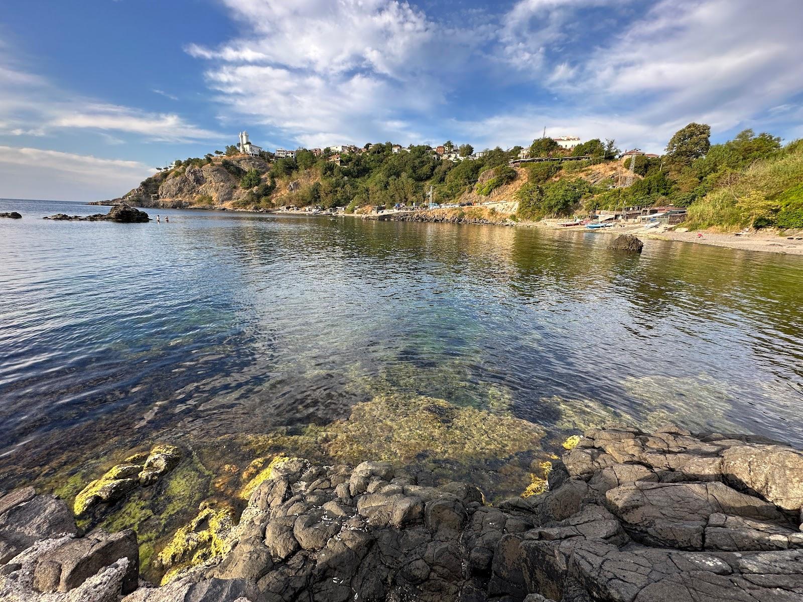Sandee - HomePage / Anadolufeneri