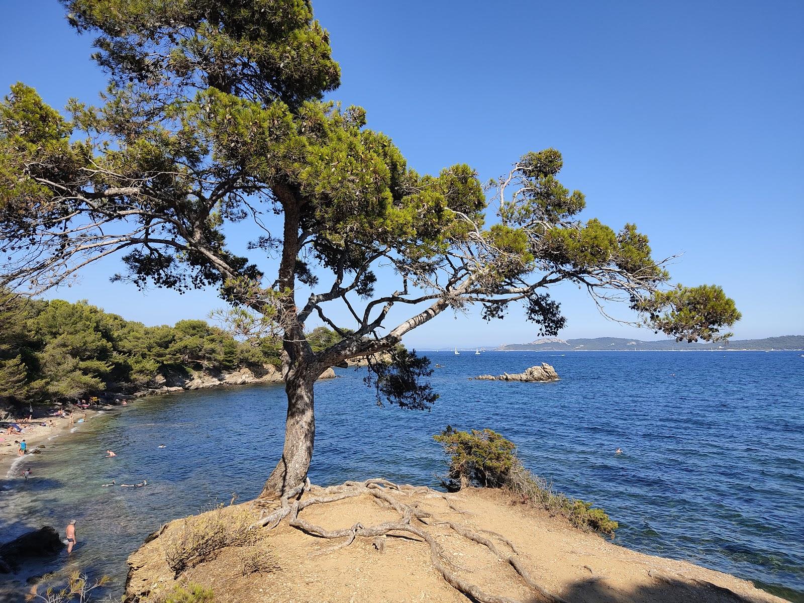 Sandee Plage Des Cypres
