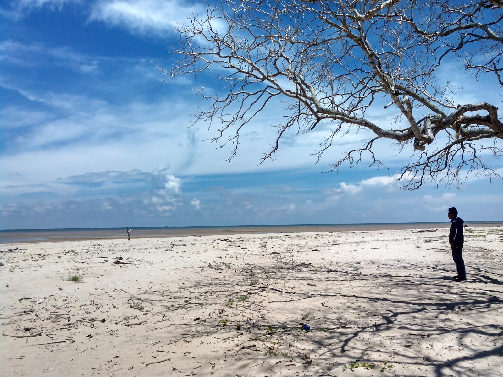 Sandee - HomePage / Tanjung Harapan