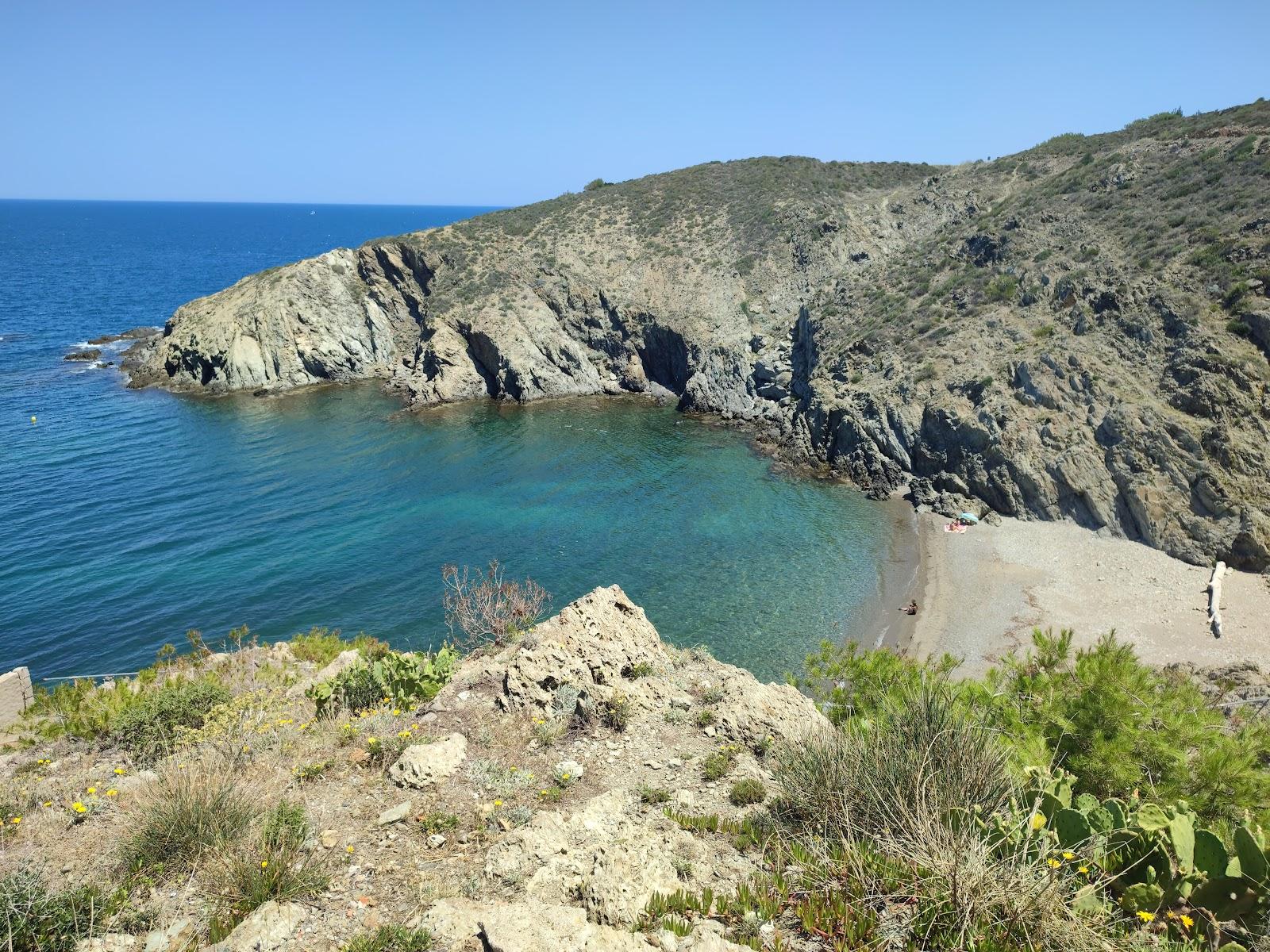 Sandee - HomePage / Banyuls sur Mer