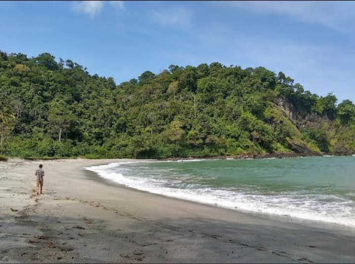 Sandee - HomePage / Area Hutan