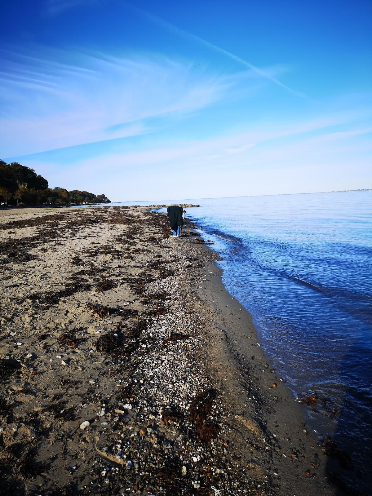 Sandee Skodsborg Strand