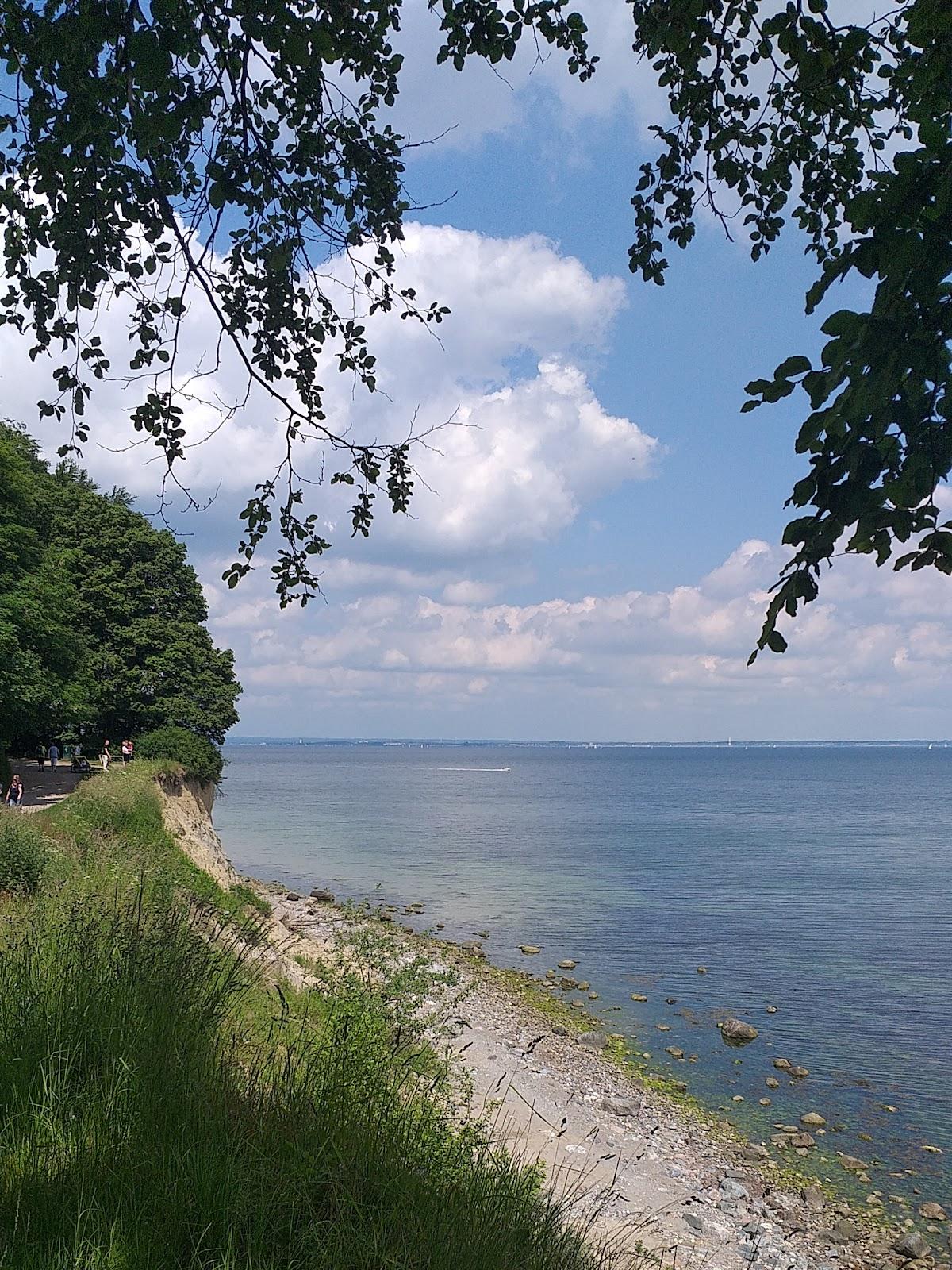 Sandee Brodtner Ufer Steinstrand