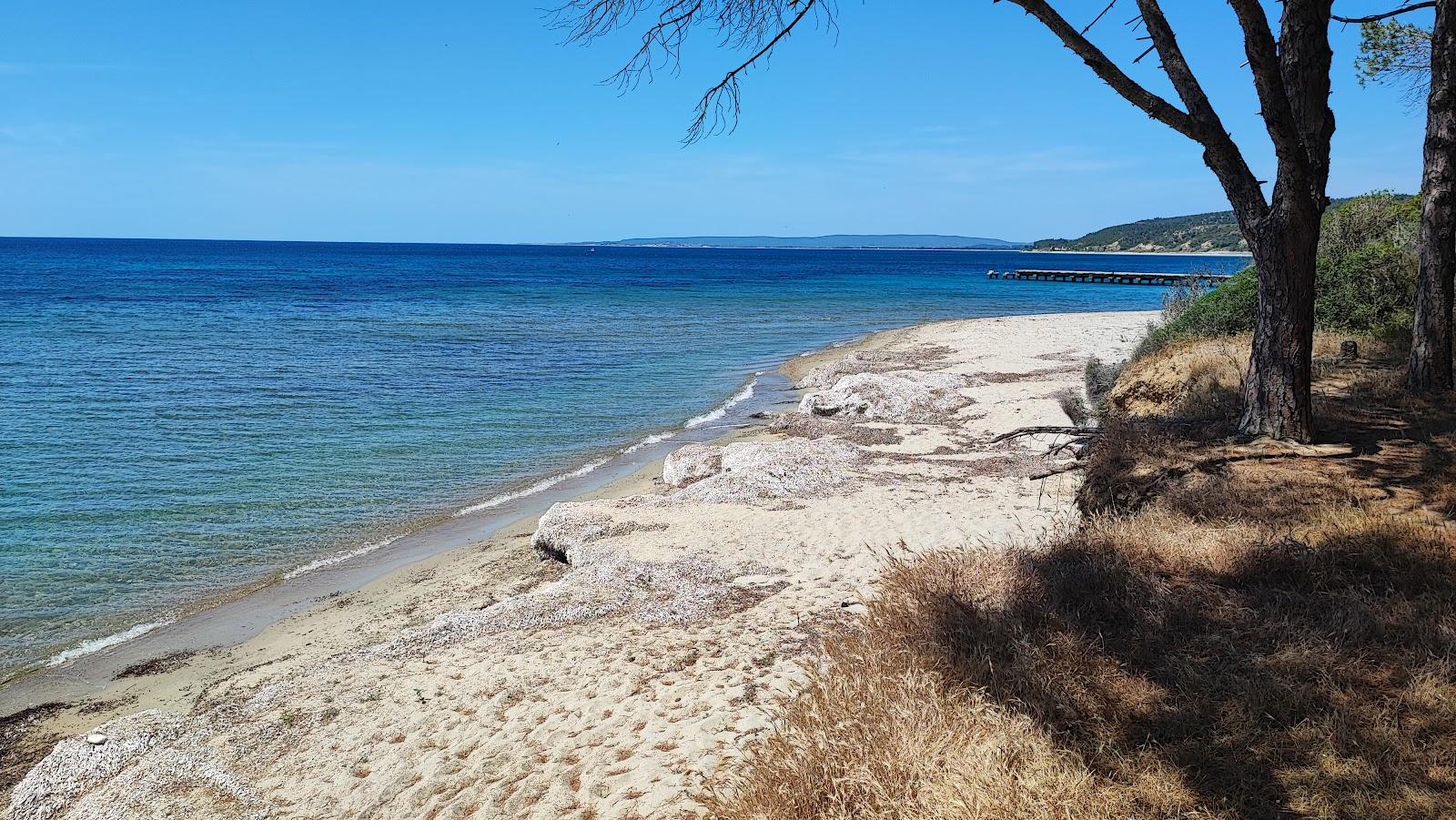 Sandee - HomePage / Canakkale
