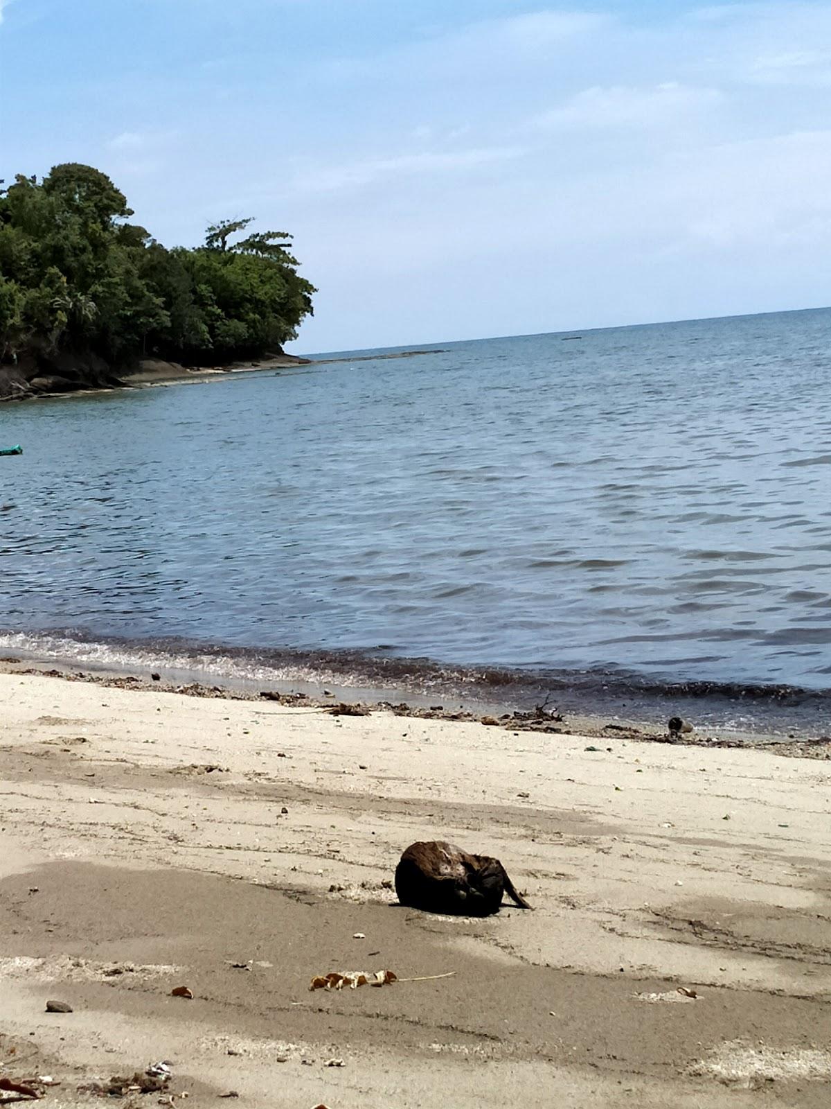 Sandee Ponnori Beach
