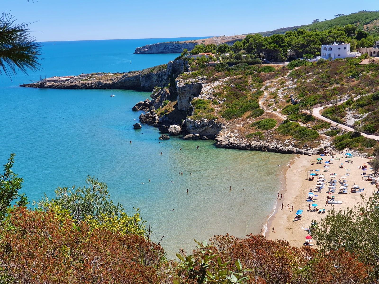 Sandee Spiaggia Di Peschici