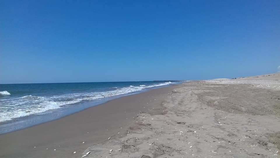 Sandee - HomePage / Bahia de Lobos