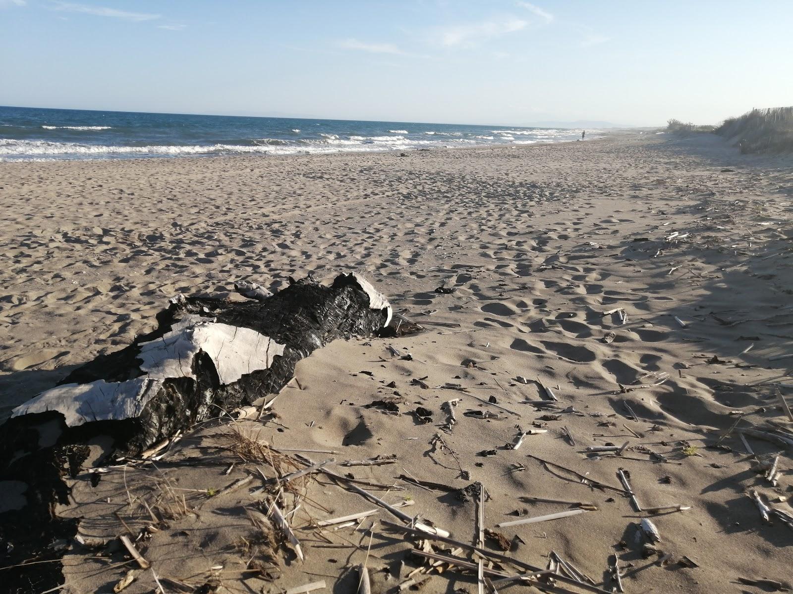 Sandee Plage Cabane Fleury
