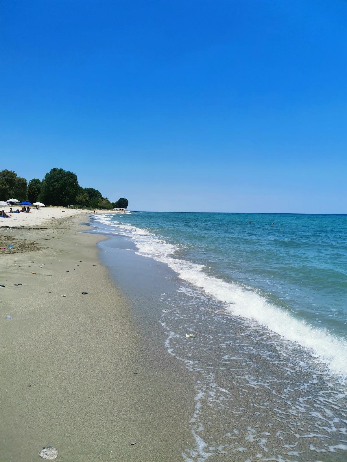 Sandee Skotina Beach