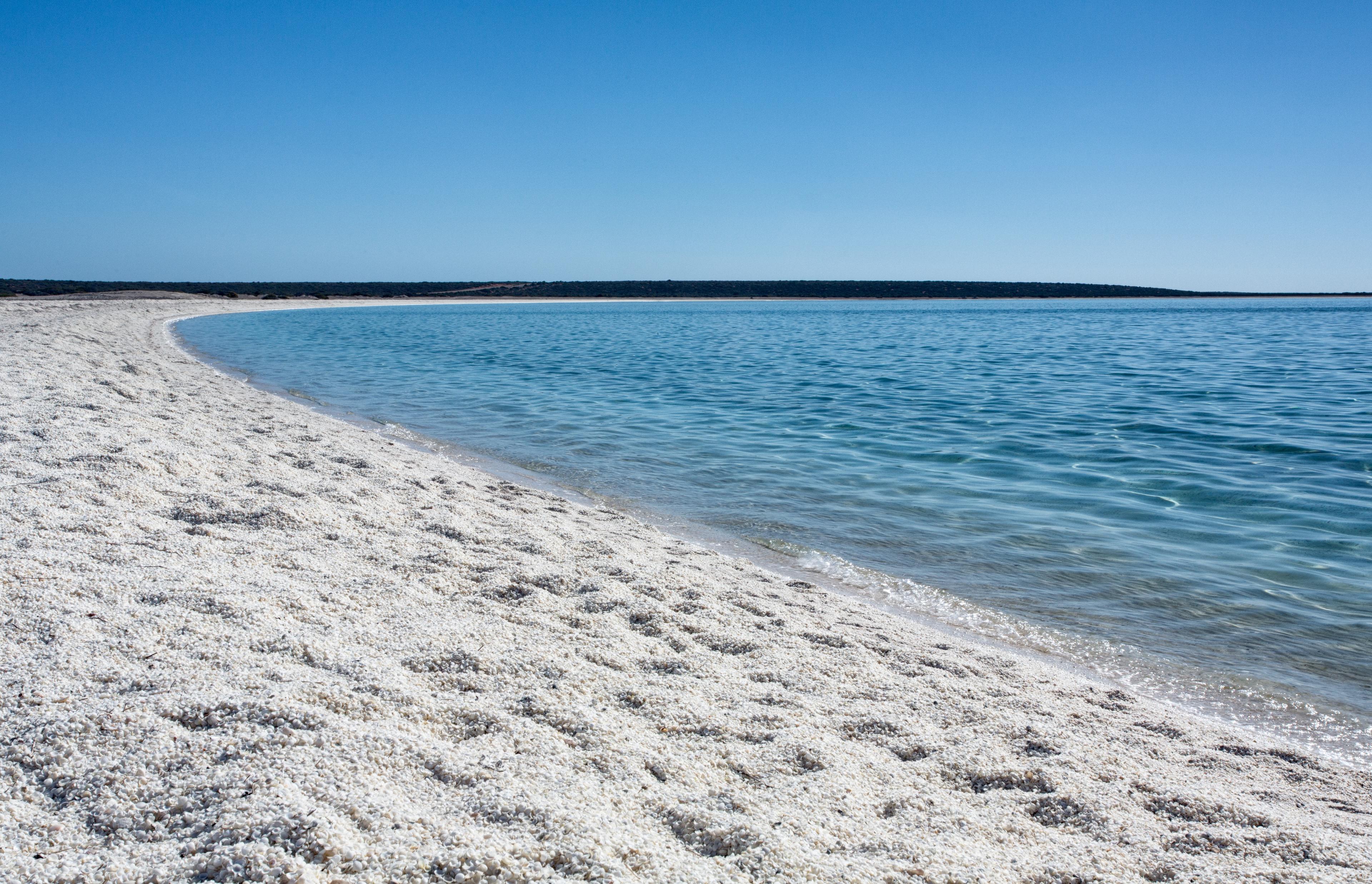 Sandee Shell Beach