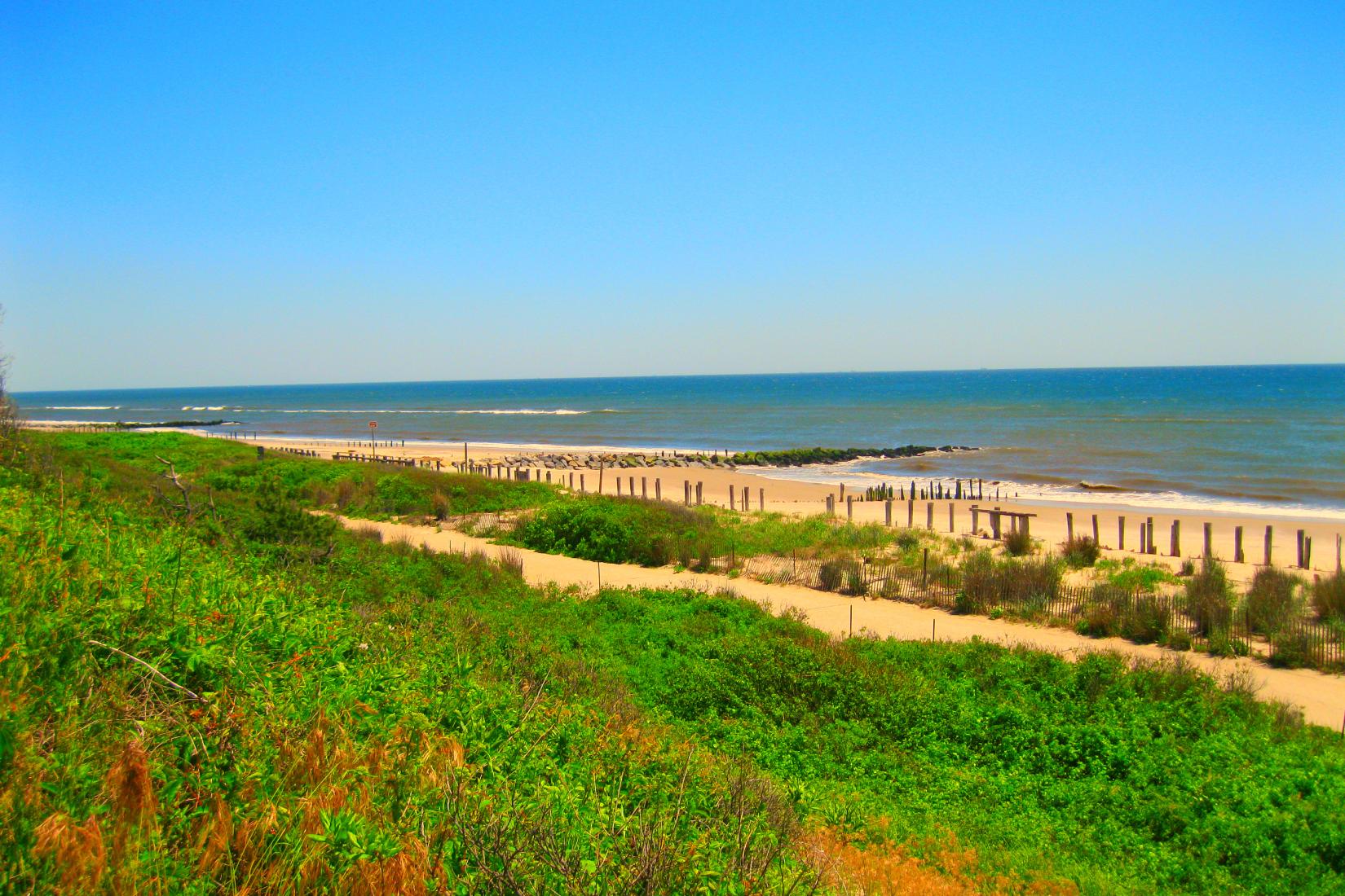 Jacob Riis Image - 2 Sandee