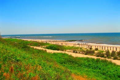 Jacob Riis Image - 2 Sandee